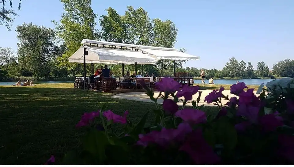 Lake shore with greenery and flowers